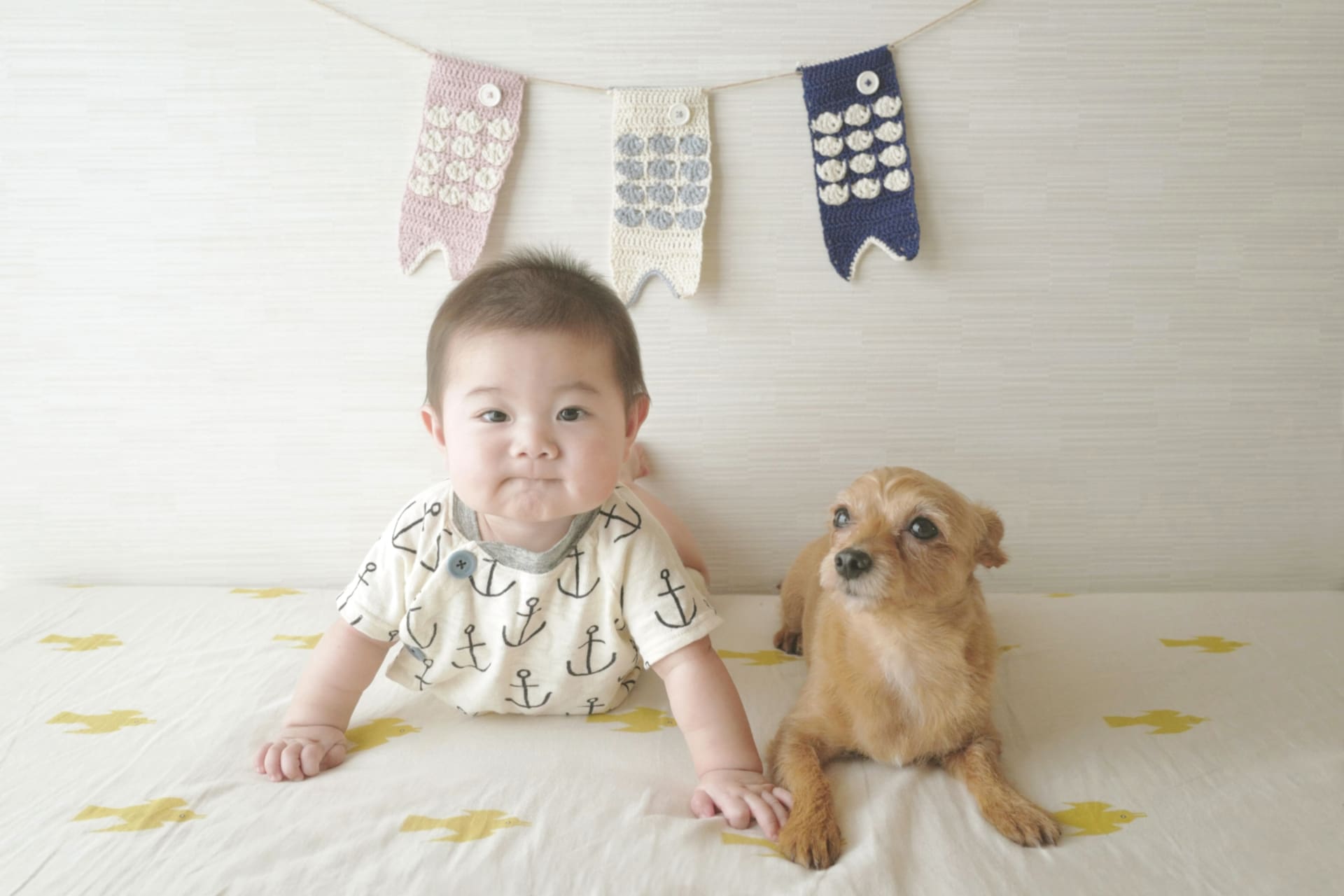 赤ちゃんと犬が安全に暮らすために：共に育む愛と信頼のヒント-Giipet