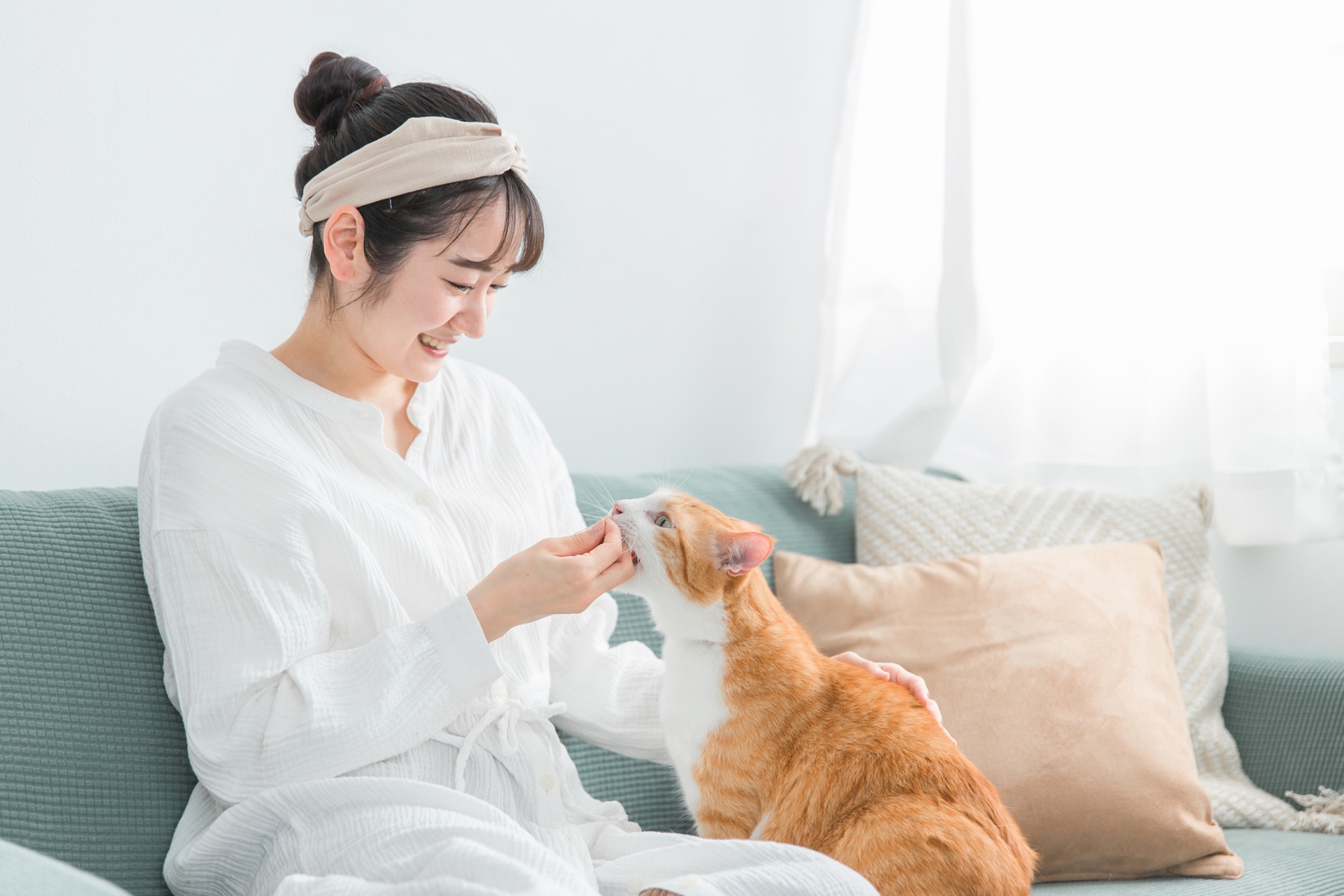 猫ともっと仲良くなりたい！愛猫からの好感度を爆上げする秘訣-Giipet
