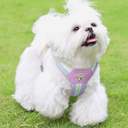 ふわり雲感犬用ベスト型ハーネス リードセット 抜けにくい 一体型デザイン 3秒装着 軽量 通気性抜群 反射材付き 散歩用 首を締め付けない 小型犬 中型犬 子犬 多色展開 おしゃれ かわいい