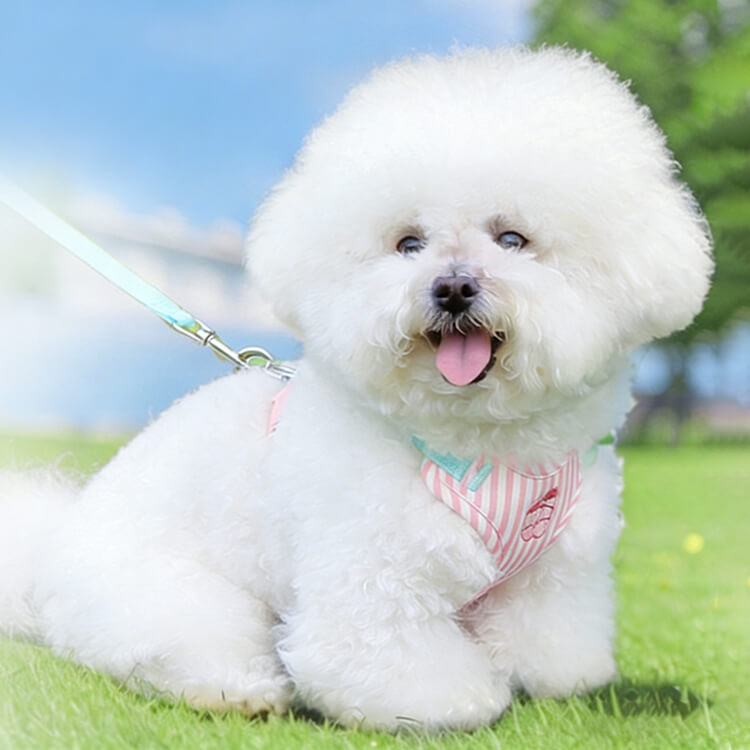 giipet-オールシーズン対応 ボーダー柄 胴輪ハーネス