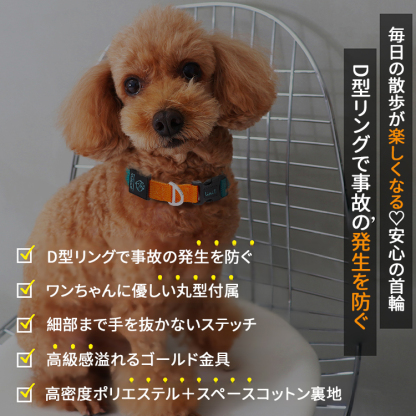 犬用コントラスト配色首輪リードセット ペット用牽引ロープ 360°フィット ソフト 調節可能 4色展開 スペースコットン裏地 高密度ポリエステル 丈夫 耐久性 小型犬 中型犬 大型犬対応 D型リング安全設計 着脱簡単 快適 おしゃれ-Giipet