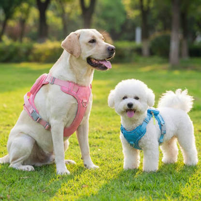 犬用ハーネス バックパック一体型 リュック付き 胴輪 小型犬 中型犬 大型犬 表面防水 耐摩耗生地 裏地メッシュ 通気性抜群 背部ハンドル付き 突進防止 断裂防止 環状リフレクター 夜間反射 視認性UP 飛び出し防止 散歩 アウトドア 自負バッグ