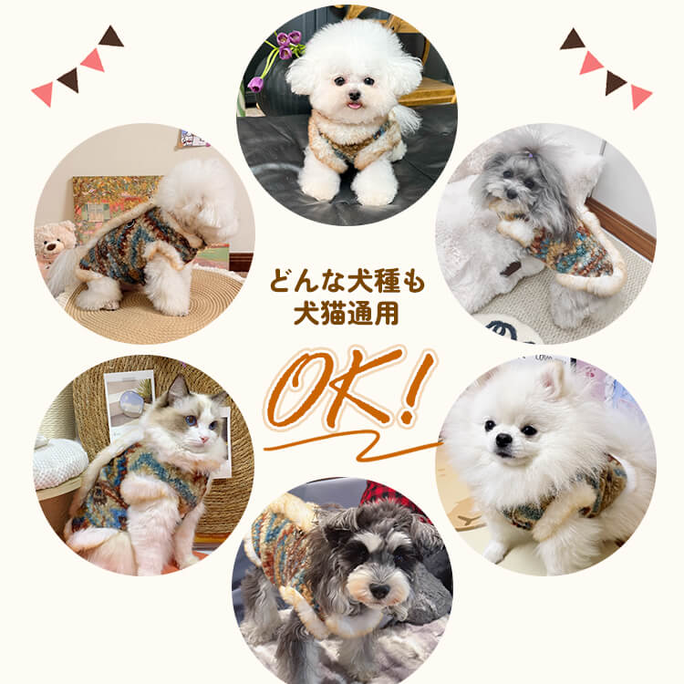 giipet-フェアアイランド風ペットウエア