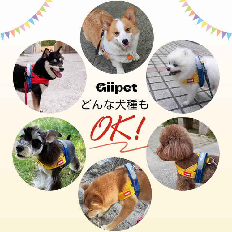 Giipet-犬用サドル型ハーネスアウトドア用