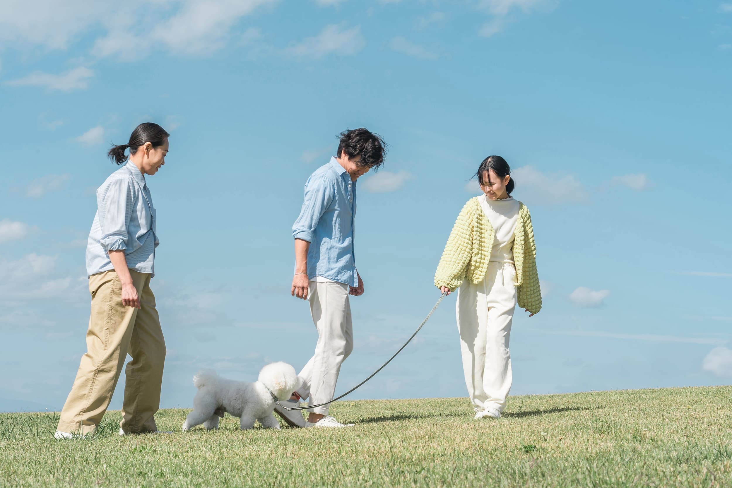 愛犬との日常