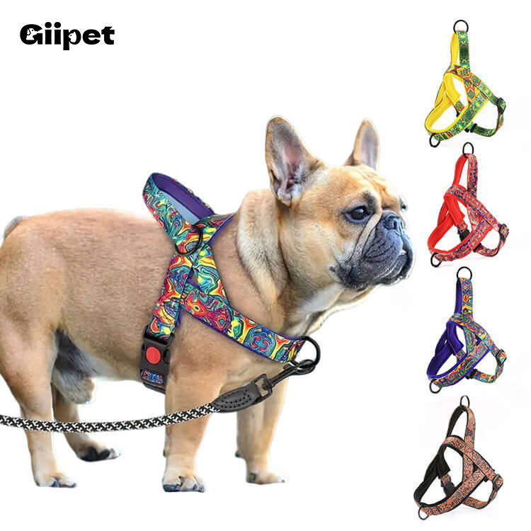 giipet-ペットハーネス　カラフル　カジュアル　引っ張り防止　調節可能