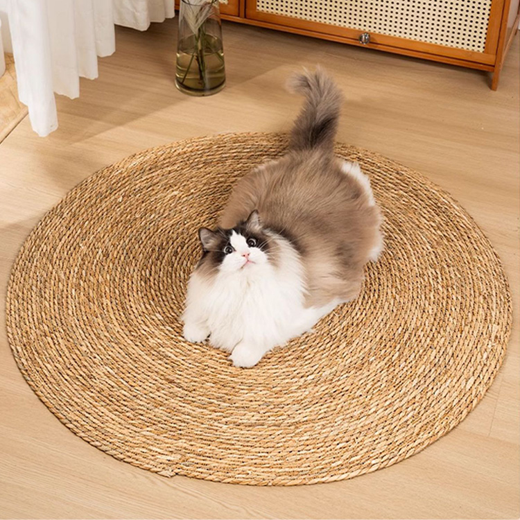 猫はなぜゴロゴロしながら爪を切ることがあるの？-Giipet