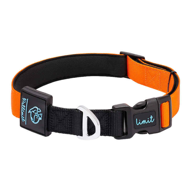 犬用コントラスト配色首輪リードセット ペット用牽引ロープ 360°フィット ソフト 調節可能 4色展開 スペースコットン裏地 高密度ポリエステル 丈夫 耐久性 小型犬 中型犬 大型犬対応 D型リング安全設計 着脱簡単 快適 おしゃれ-Giipet