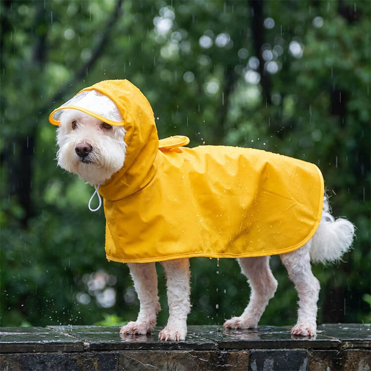 フード付き 透明レインコート犬用 【公式通販】