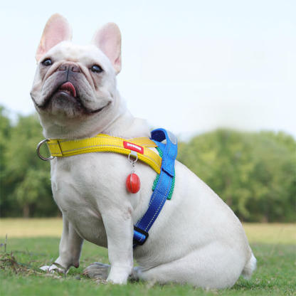犬用サドル型ハーネス 反射材付き 通気性抜群 引っ張り防止 ワンタッチ装着 簡単脱着 耐久性強化 快適フィット 大型犬 小型犬 中型犬対応 高品質素材 夜間散歩安心 おしゃれ 快適 ドッグハーネス