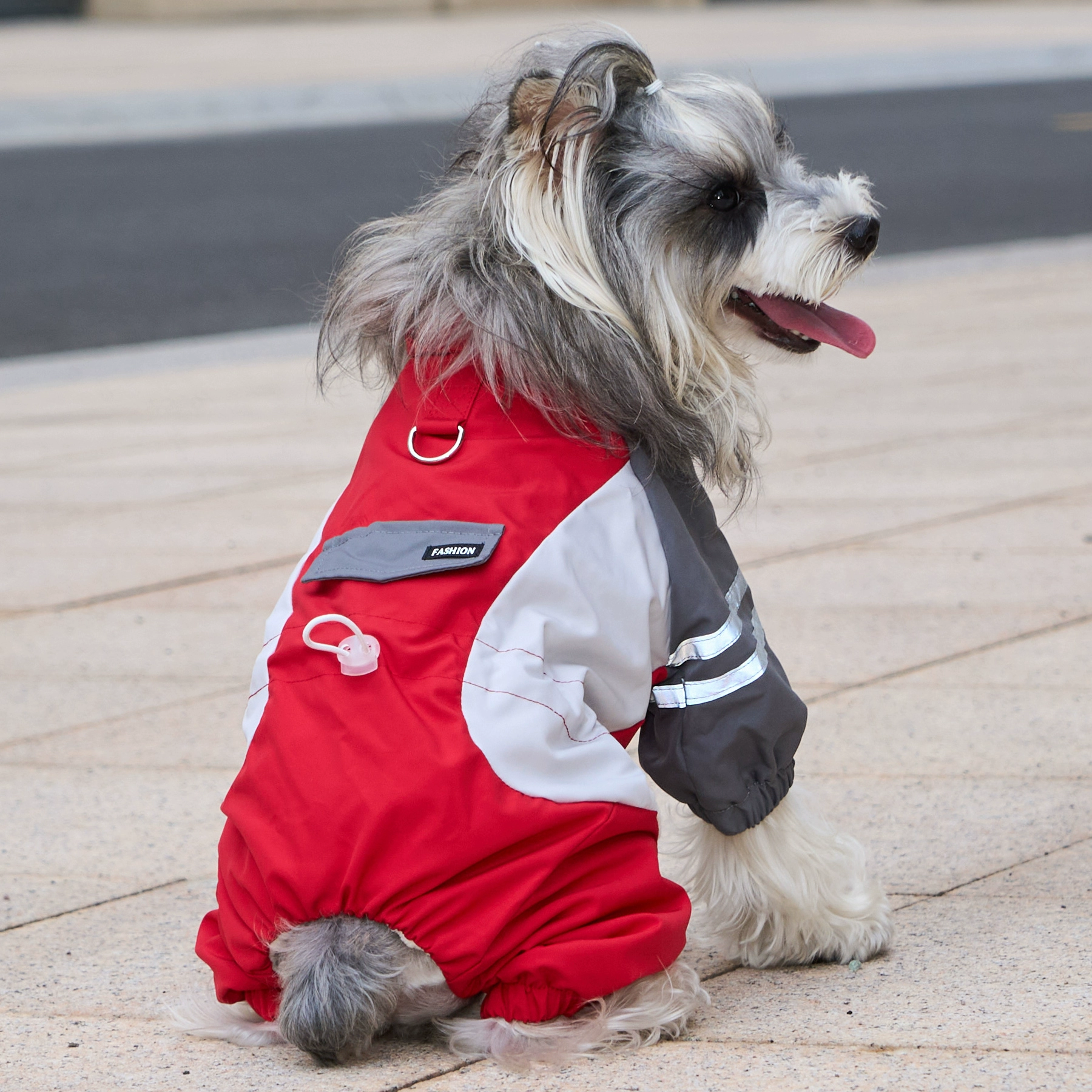 小型犬用 犬服つなぎ 秋冬 裏起毛 ぽかぽか 防寒保温 蓄熱 撥水 防水 防風 防汚 四脚フルカバー リードフック付き ジッパー式で着脱簡単 夜間反射材で夜散歩も安心 動きを邪魔しない ずれにくい ぴったりフィット ドッグウェア-Giipet