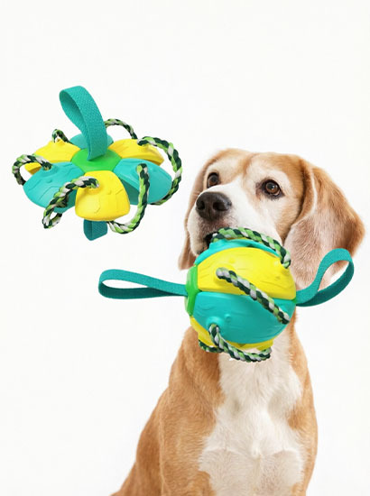 GW限定 会員ポイントで無料交換 ペット用噛むボール 