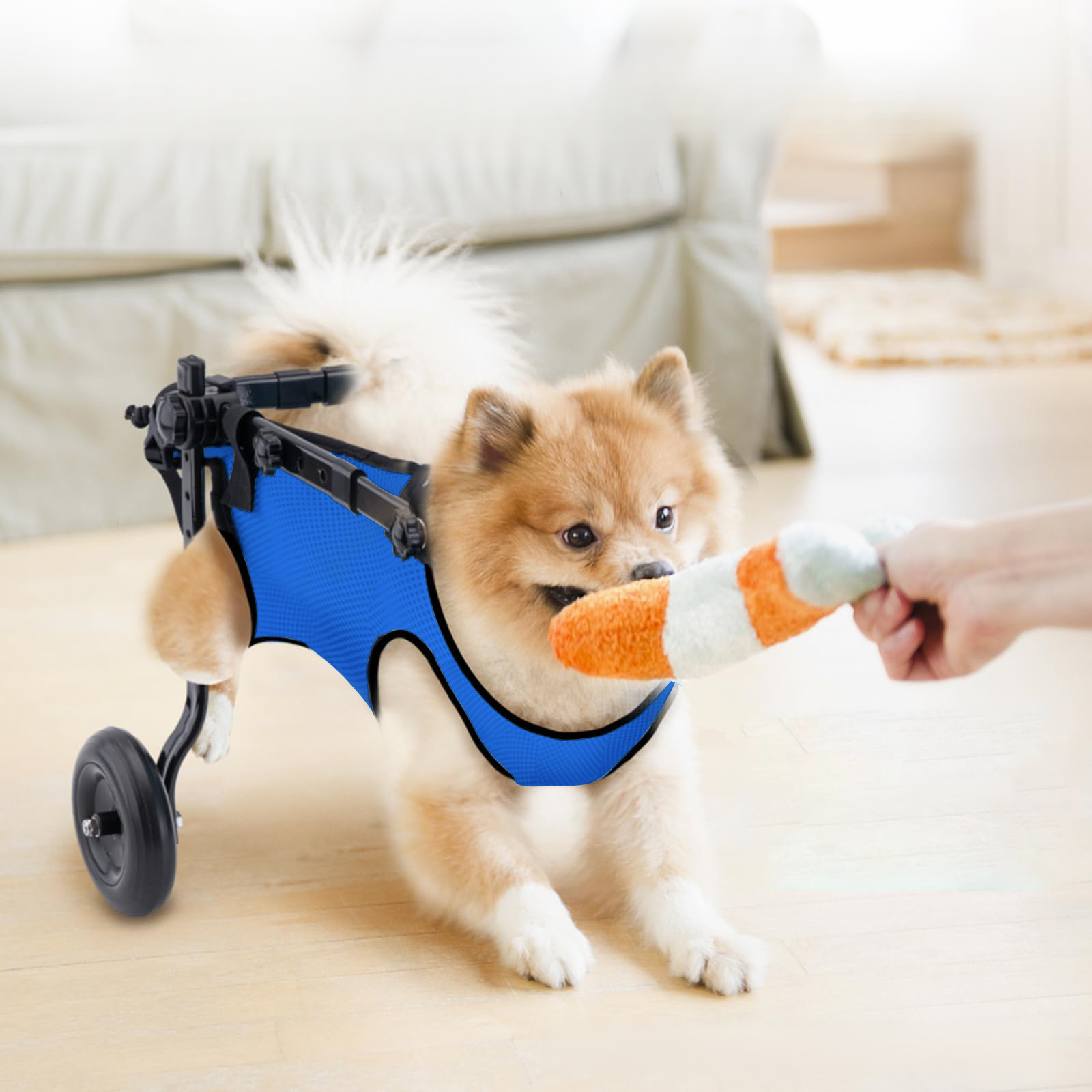 犬用車椅子 ペット用リハビリ歩行補助車 通気性メッシュ 金属フレーム 静音キャスター 後脚サポート 老犬・介護犬向け