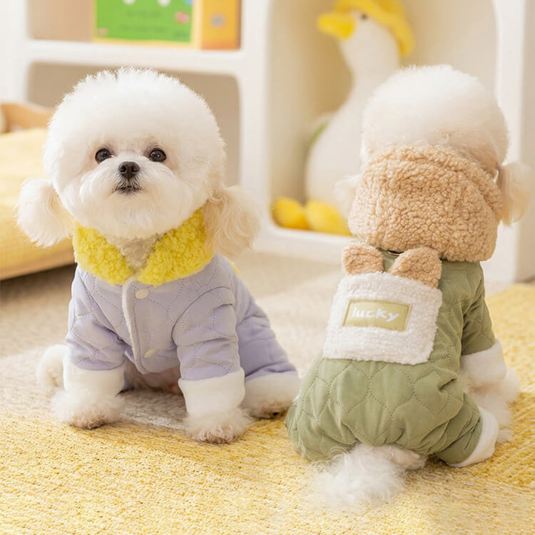 giipet-秋冬用 厚手ペットウェア（綿入り）