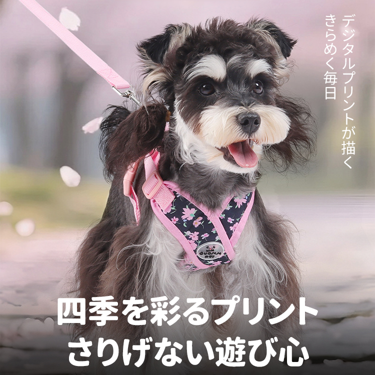 クロス型花柄ハーネスセット 犬用リード付き 春夏秋用 軽量 通気性抜群 X型デザイン 首に優しい 負担軽減 調節可能 反射材 おしゃれ 可愛い 小型犬 中型犬 大型犬 散歩 お出かけ 安心設計