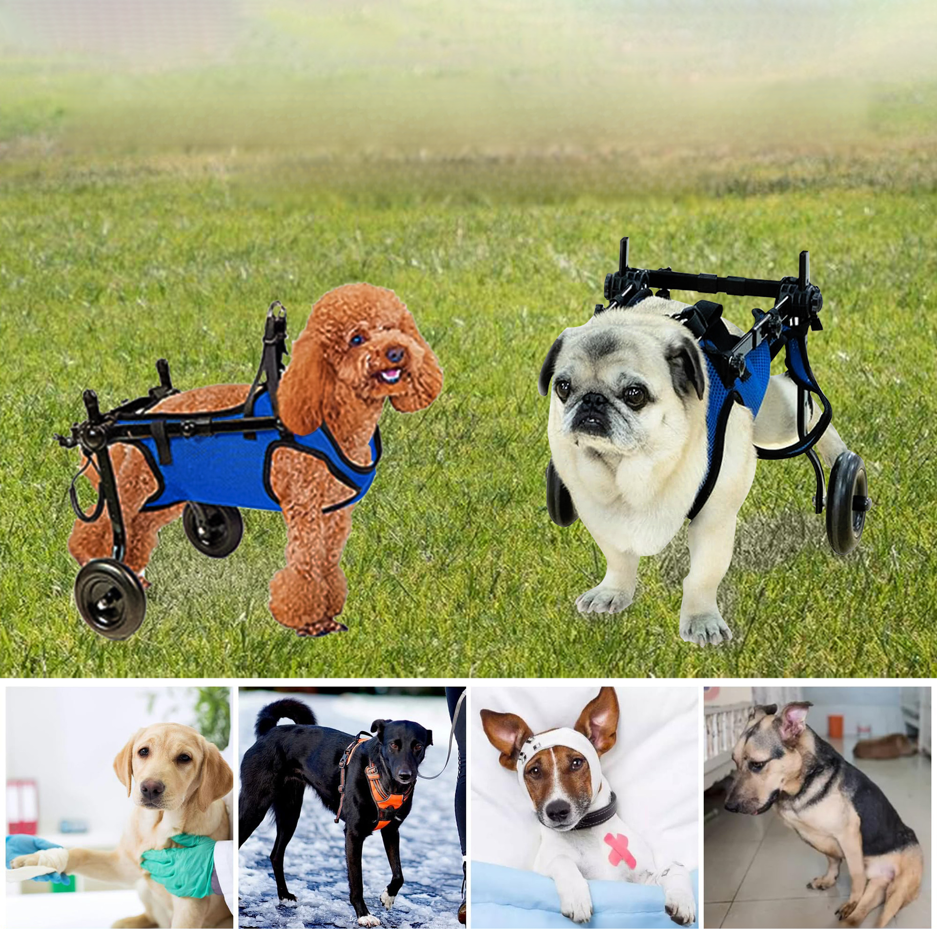 犬用車椅子 ペット用リハビリ歩行補助車 通気性メッシュ 金属フレーム 静音キャスター 後脚サポート 老犬・介護犬向け