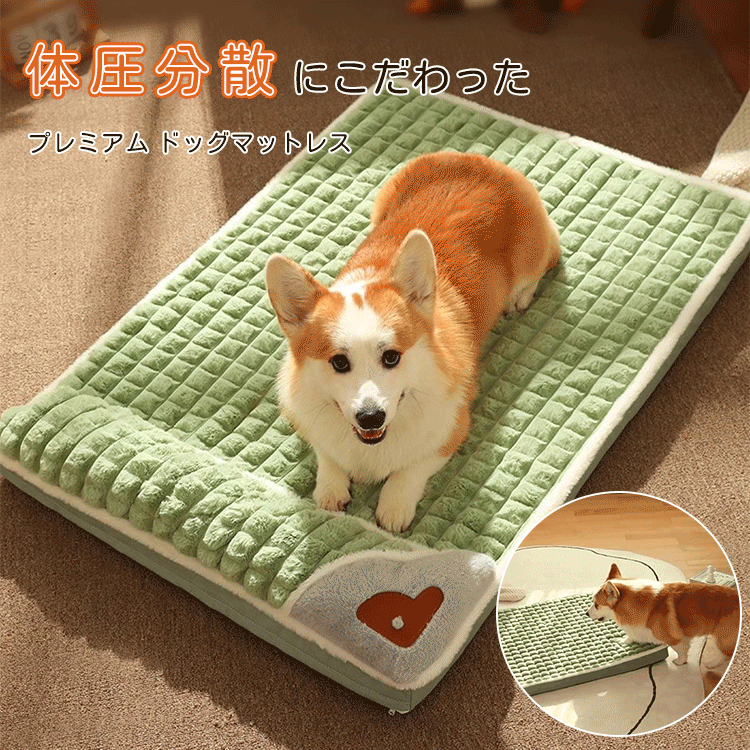 Amazon | 猫 べッド 犬 ベッド 冬 「カバー取り外し可能」 丸型