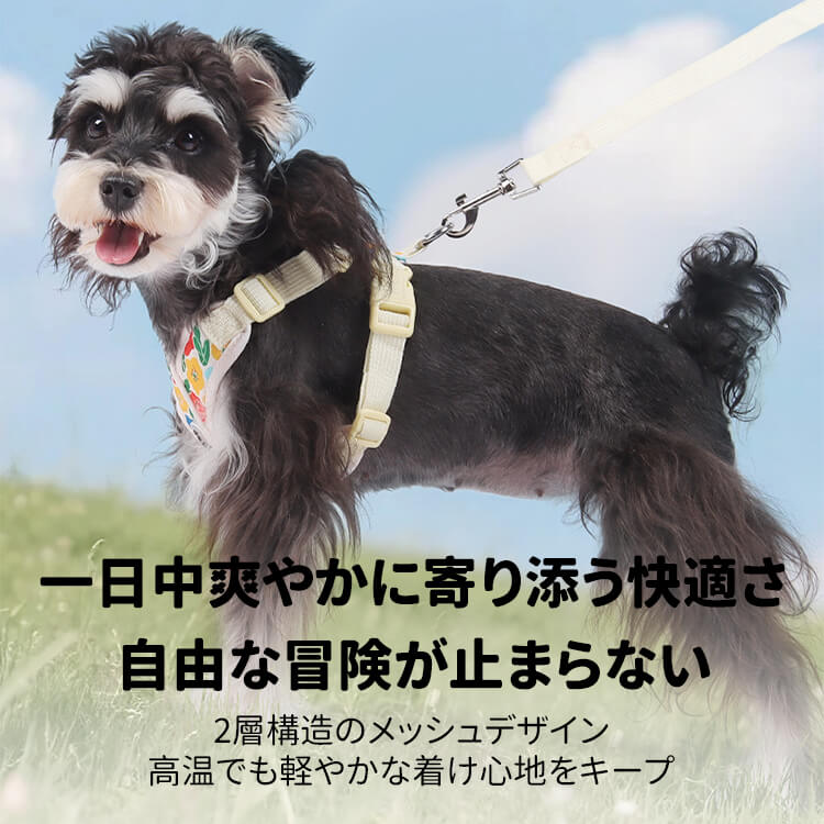 クロス型花柄ハーネスセット 犬用リード付き 春夏秋用 軽量 通気性抜群 X型デザイン 首に優しい 負担軽減 調節可能 反射材 おしゃれ 可愛い 小型犬 中型犬 大型犬 散歩 お出かけ 安心設計