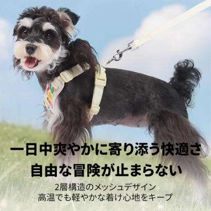 クロス型花柄ハーネスセット 犬用リード付き 春夏秋用 軽量 通気性抜群 X型デザイン 首に優しい 負担軽減 調節可能 反射材 おしゃれ 可愛い 小型犬 中型犬 大型犬 散歩 お出かけ 安心設計