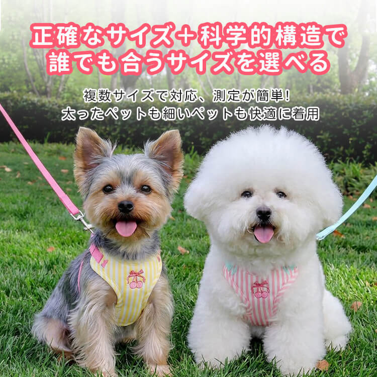 giipet-オールシーズン対応 ボーダー柄 胴輪ハーネス