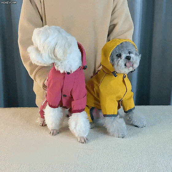 giipet-犬用レインコート 全身カバー 四脚 防水ポンチョ