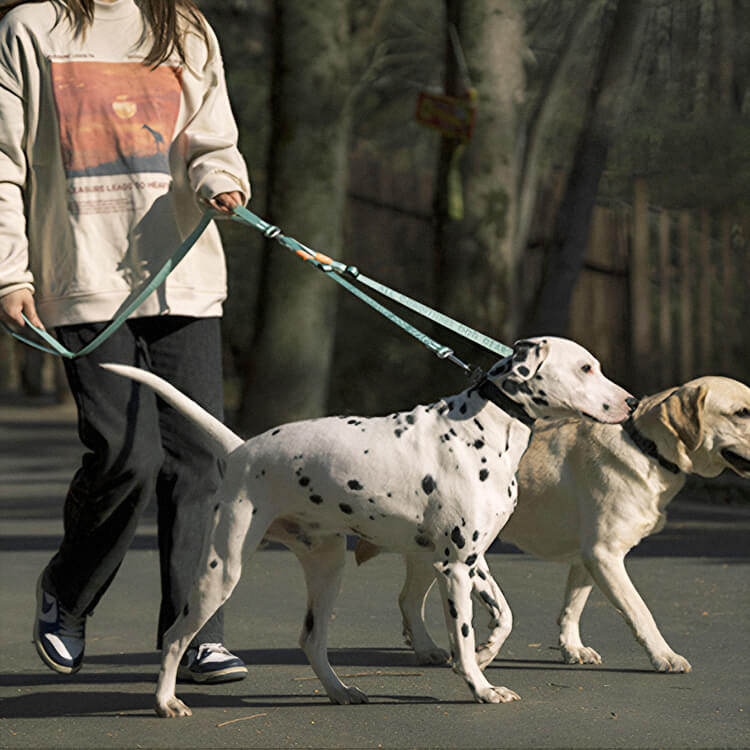 超軽量二頭引きリード 犬用ダブルリード 絡まり防止360°回転 Y字型V字型 長さ調整可能43-66cm ナイロンジャカード織り 軽量120g 小型犬中型犬兼用 散歩安心 安全耐久 航空アルミ