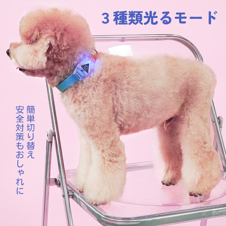 虹色LEDライト付きリード＆ハーネスセット 夜間安全 引張防止 ペット用お散歩グッズ カラフル3色ライト搭載 シャイニングスカイ ドリーミングサンセット 犬用ハーネス 小型犬 中型犬 安心お出かけ