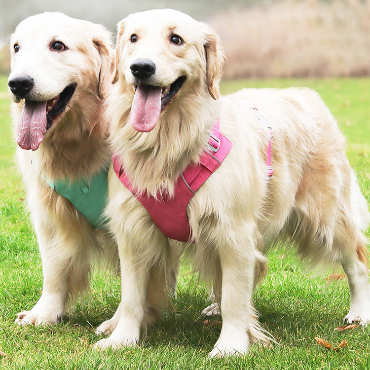 軽量犬用ハーネス 小型犬中型犬大型犬兼用  軽量設計 反射テープ付き 夜間散歩安心 引っ張り防止機能 高密度オックスフォードクロス 撥水加工 耐引裂 耐摩耗 折り返し仕上げで肌に優しい 360°包み込む快適フィット 調節可能バックル付き 前後Dリング おしゃれデザイン 4色選べる 2.5-45kg対応 サイズ調節簡単 首負担軽減 愛犬の安心安全散歩用-Giipet