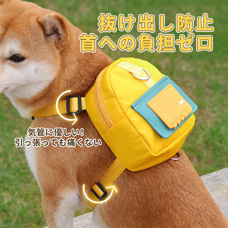 XX23042601M-宠物户外出行自背包