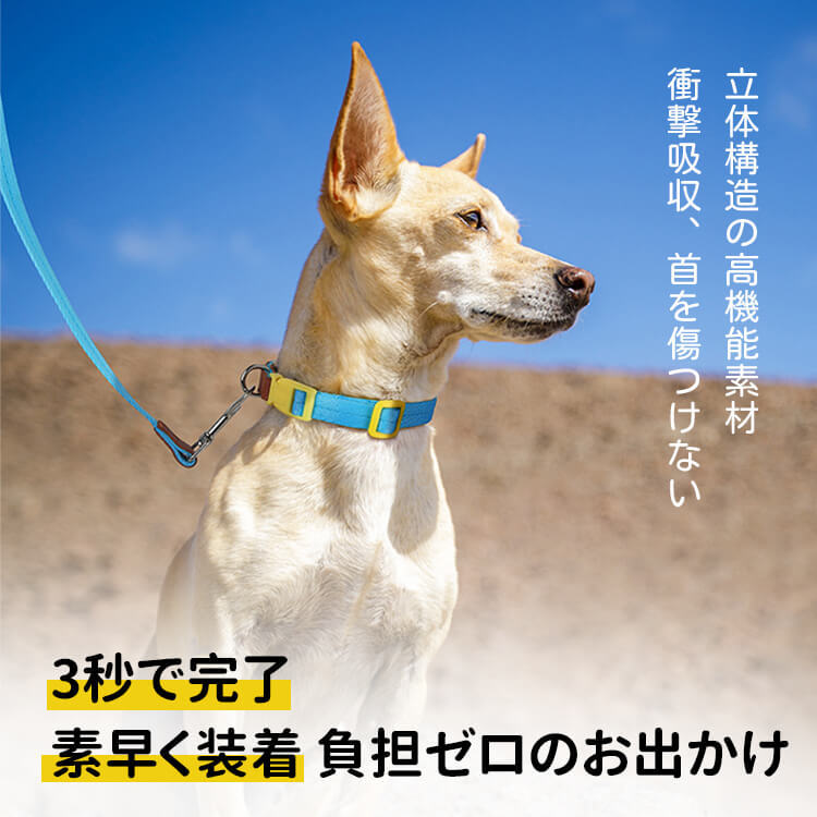 犬用首輪リードセット