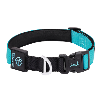 犬用コントラスト配色首輪リードセット ペット用牽引ロープ 360°フィット ソフト 調節可能 4色展開 スペースコットン裏地 高密度ポリエステル 丈夫 耐久性 小型犬 中型犬 大型犬対応 D型リング安全設計 着脱簡単 快適 おしゃれ-Giipet