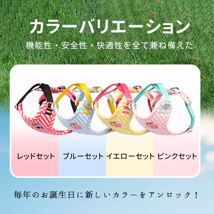giipet-オールシーズン対応 ボーダー柄 胴輪ハーネス