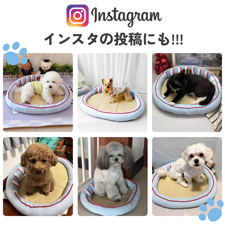 夏用ひんやり冷感ペットベッド ストライプ 犬猫兼用 接触冷感 藤編み調 枕付き 高弾性スポンジ 滑り止め加工 快適通気 洗える 広々空間 ぐっすり快眠 熱中症対策 小型犬 中型犬