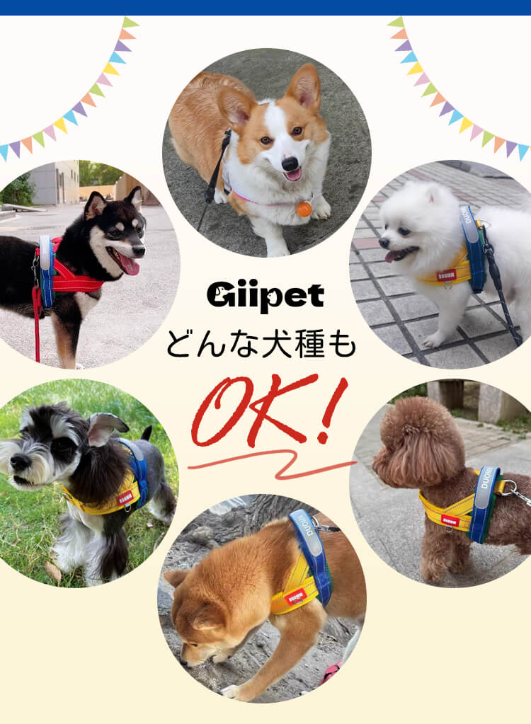 Giipet-犬用サドル型ハーネスアウトドア用