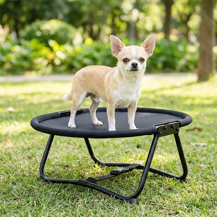 折りたたみ式ペットベッド キャンプ用 高床式コット 通气性 湿気除け カビ防止 コンパクト収納 持ち運び简单 室内 屋外 アウトドア レジャー 小型犬 中型犬 猫対応 全季節対応 丈夫な設計 避難用