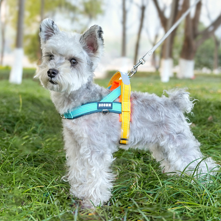 T字型ハーネス 引っ張り防止 胴輪 首輪 衝撃吸収 脱げない 抜け出し防止 首への負担軽減 反射材 クッション入り 夜間散歩 安全 通気性 ワンタッチ着脱 簡単装着 中型犬 大型犬 小型犬