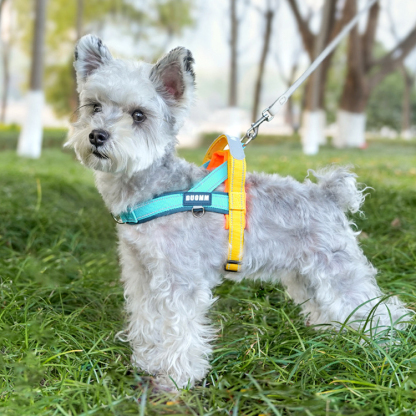 T字型ハーネス 引っ張り防止 胴輪 首輪 衝撃吸収 脱げない 抜け出し防止 首への負担軽減 反射材 クッション入り 夜間散歩 安全 通気性 ワンタッチ着脱 簡単装着 中型犬 大型犬 小型犬