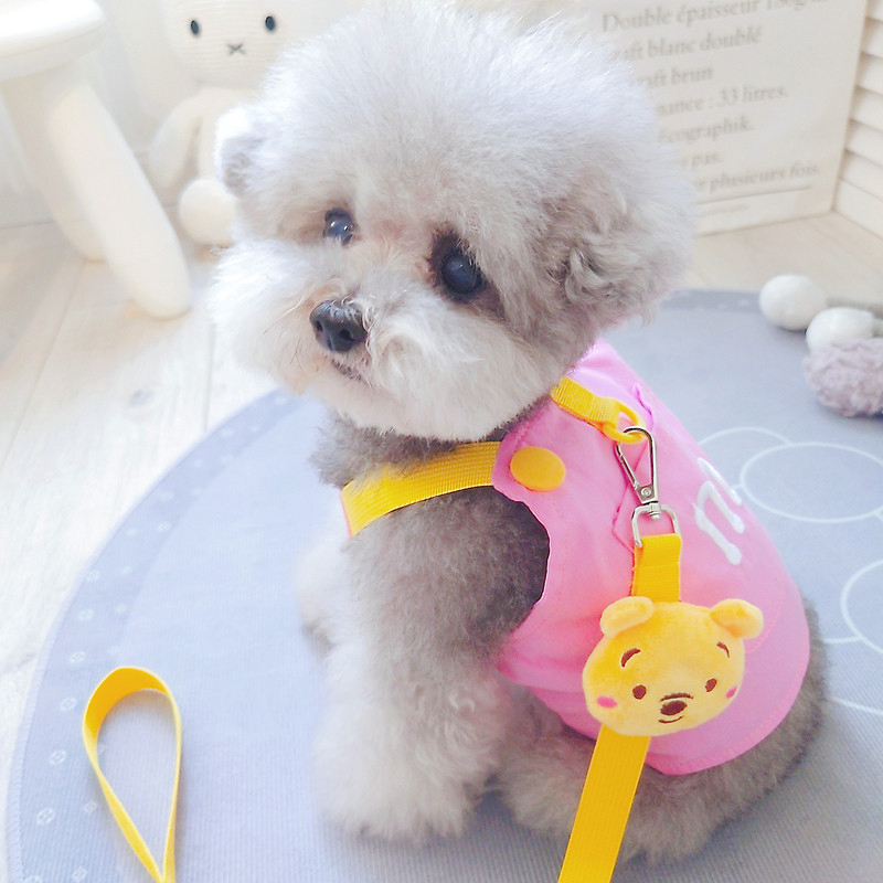 giipet-ペット用胴輪付きハーネス