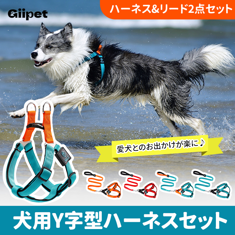 Giipet-%E7%8A%AC%E7%94%A8%E3%83%8F%E3%83%BC%E3%83%8D%E3%82%B9%26%E3%83%AA%E3%83%BC%E3%83%892%E7%82%B9%E3%82%BB%E3%83%83%E3%83%88%20Y%E5%AD%97%E5%9E%8B%E3%83%87%E3%82%B6%E3%82%A4%E3%83%B3%20%E6%B0%97%E7%AE%A1%E5%9C%A7%E8%BF%AB%E9%98%B2%E6%AD%A2%20%E8%83%B8%E9%AA%A8%E4%BF%9D%E8%AD%B7%20%E4%BD%93%E5%9E%8B%E3%81%AB%E5%90%88%E3%82%8F%E3%81%9B%E3%81%A6%E8%87%AA%E7%94%B1%E8%AA%BF%E7%AF%80%E5%8F%AF%E8%83%BD%20%E8%87%AA%E7%84%B6%E3%81%AA%E6%AD%A9%E8%A1%8C%E5%BF%AB%E9%81%A9%E8%A8%AD%E8%A8%88%20%E3%82%B9%E3%83%9D%E3%83%B3%E3%82%B8%E5%86%85%E8%94%B5%20%E6%A5%B5%E4%B8%8A%E3%81%AE%E3%83%95%E3%82%A3%E3%83%83%E3%83%88%E6%84%9F%20%E9%AB%98%E5%AF%86%E5%BA%A6%E3%83%9D%E3%83%AA%E3%82%A8%E3%82%B9%E3%83%86%E3%83%AB%E6%8E%A1%E7%94%A8%20%E4%B8%88%E5%A4%AB%E3%81%A7%E8%80%90%E4%B9%85%E6%80%A7%E6%8A%9C%E7%BE%A4%20%E6%89%8B%E8%BB%BD%E3%81%AB%E7%9D%80%E8%84%B1%E3%81%A7%E3%81%8D%E3%82%8B%20%E3%81%8A%E6%B4%92%E8%90%BD%E3%81%AA4%E8%89%B2%E5%B1%95%E9%96%8B%20%E5%B0%8F%E5%9E%8B%E7%8A%AC%E3%81%8B%E3%82%89%E5%A4%A7%E5%9E%8B%E7%8A%AC%E3%81%BE%E3%81%A7%E5%AF%BE%E5%BF%9C%20%E9%AB%98%E5%93%81%E8%B3%AA%E4%BB%95%E6%A7%98