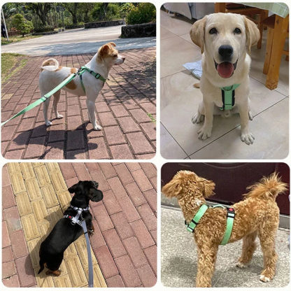Giipet-軽量ハーネス 犬用ハーネス 犬用胴輪 ドッグ ペット用品 ハーネスリード 3M反射材料 訓練 ナイロン製 小型犬、中型犬、大型犬に向け 通気性 調節可能 夏に対応 