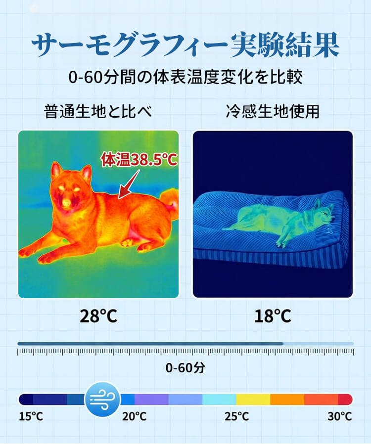 image-9.jpg