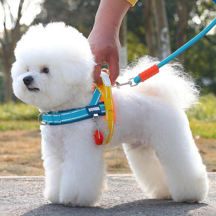 T字型ハーネス 引っ張り防止 胴輪 首輪 衝撃吸収 脱げない 抜け出し防止 首への負担軽減 反射材 クッション入り 夜間散歩 安全 通気性 ワンタッチ着脱 簡単装着 中型犬 大型犬 小型犬