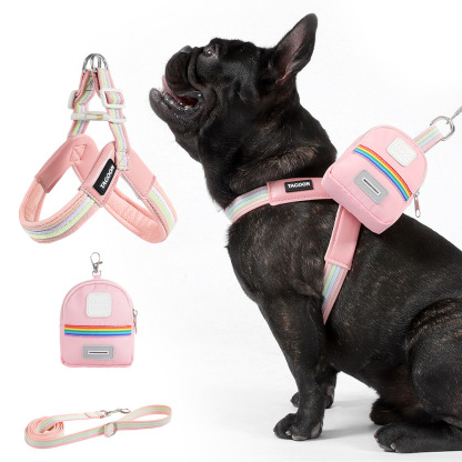 犬用Y字型ハーネス＆リードセット 中小型犬向け 虹色レインボーカラー 軽量メッシュ素材 通気性抜群 首締め付けない 引っ張り防止 骨格圧迫しない快適設計 サイズ調整可能 着脱簡単 丈夫なPUレザー素材 お散歩が快適に