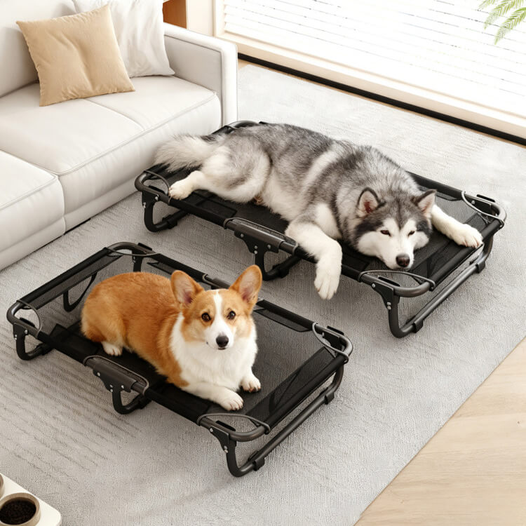 脚付きペットベッド  組み立て不要  コット メッシュ 犬 猫 完成品 高床式 通気性抜群 蒸れない 涼しい 夏用 湿気対策 地面離れ 洗える 頑丈 室内 屋外 アウトドア キャンプ オールシーズン 小 中型犬