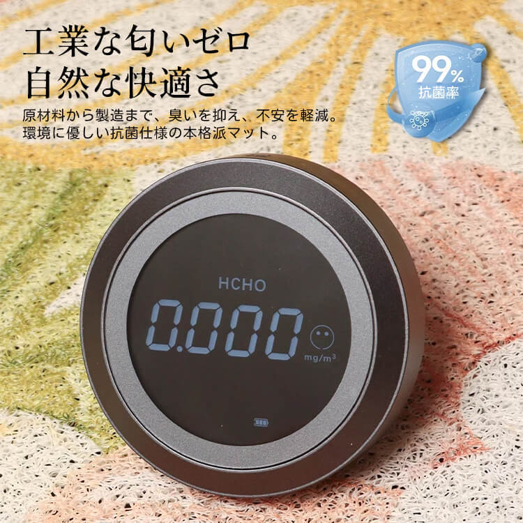 Giipet-シンプルな玄関用シルクループカーペット