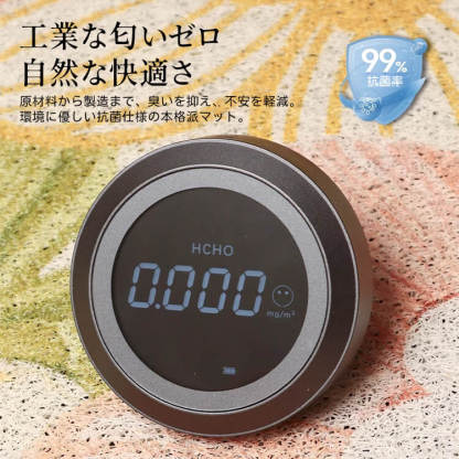 Giipet-シンプルな玄関用シルクループカーペット