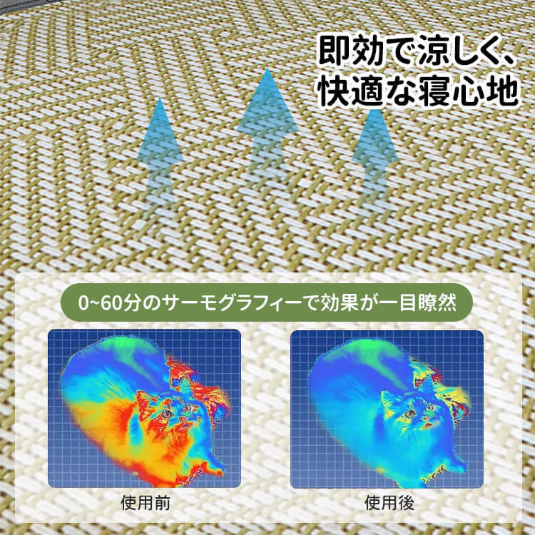 夏の枕付きペットベッド 接触冷感シート 犬猫用 藤編み 麻生地 高反発 洗える 丈夫 通気性抜群 ムレない ひんやり快適 寝返り自由 体圧分散 滑り止め 耐久性 破れにくい 小型犬 中型犬 子犬 老犬