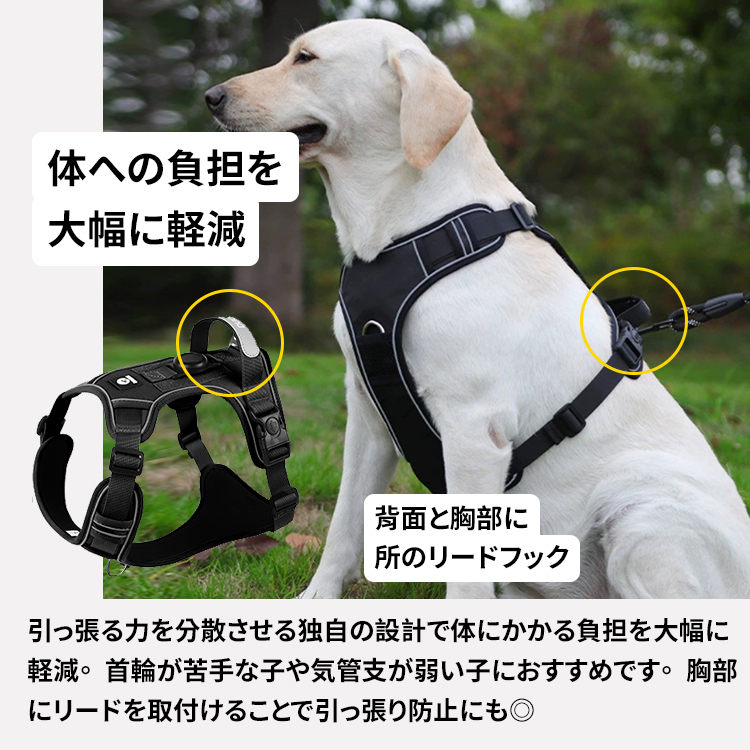 Giipet-位置追跡ハーネス 首輪リードセット 牽引ロープ Airtagケース Airtagカバー GPSペット追跡装置 安全バックル エアタグ 犬 猫用 安全首輪 スマホ対応 紛失防止 軽量 耐衝 M ブルー