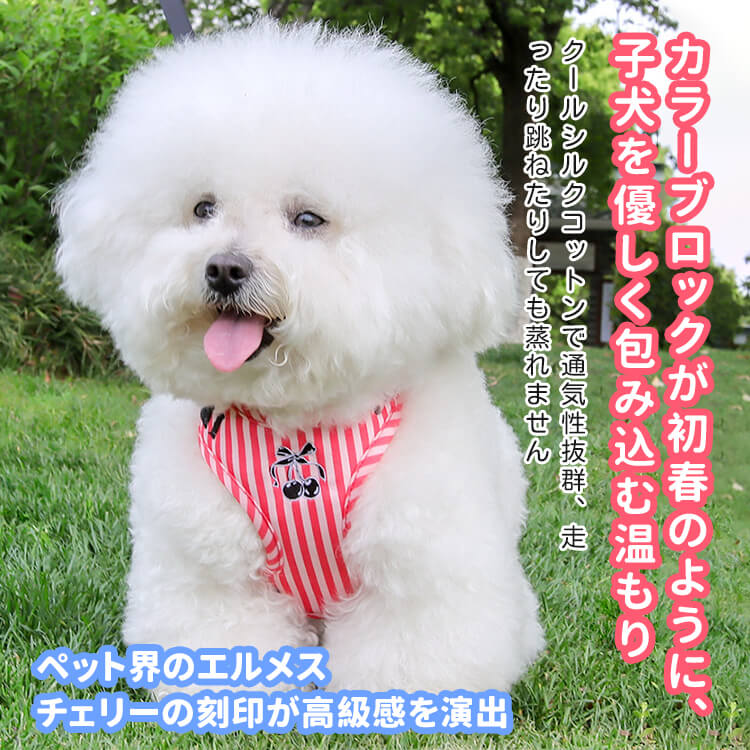 giipet-オールシーズン対応 ボーダー柄 胴輪ハーネス