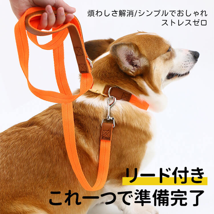 犬用首輪リードセット
